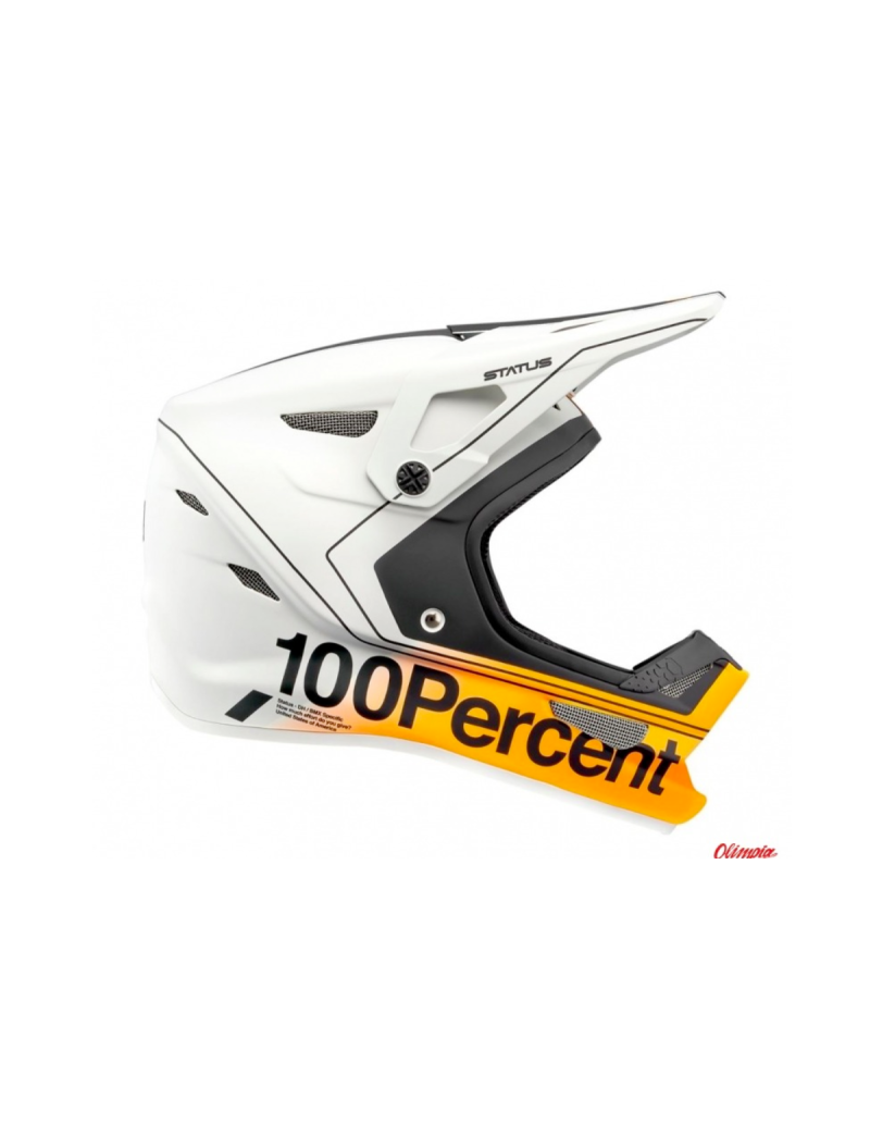 Kask full face 100% STATUS DH/BMX Helmet Carby Silver