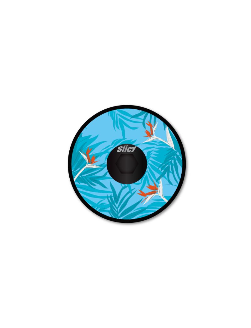 Fun Cap SLICY - Headset Cap TROPICAL