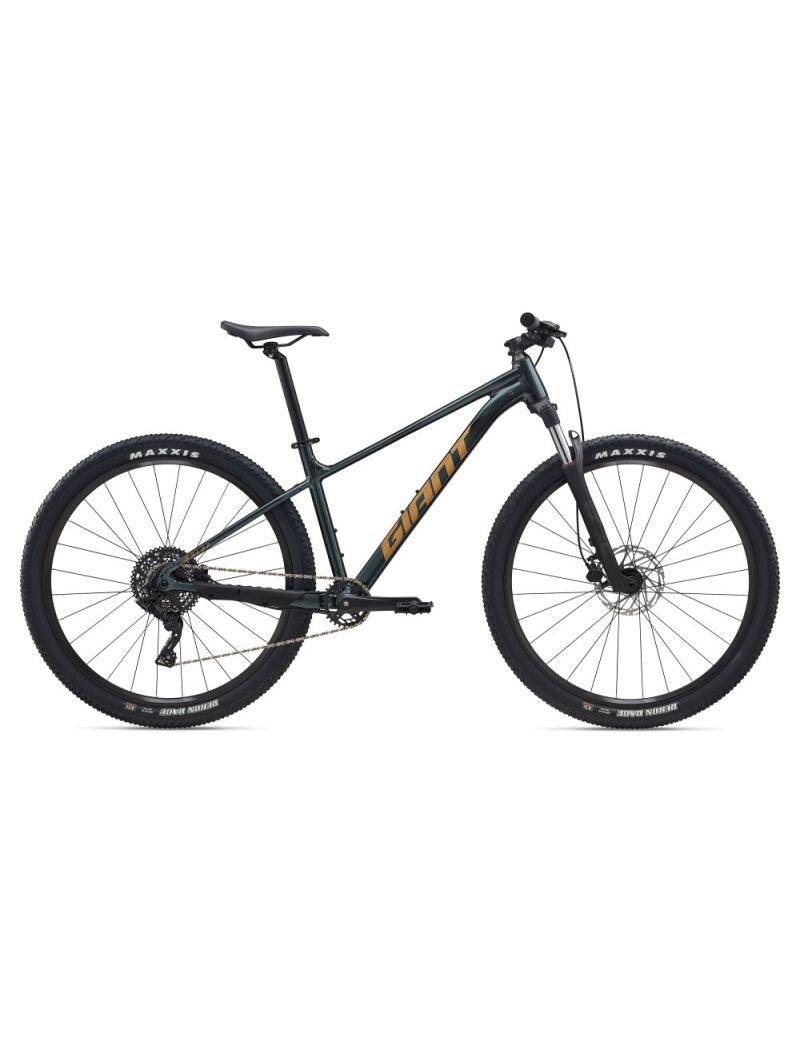 Rower GIANT Talon 2 Asphalt Green