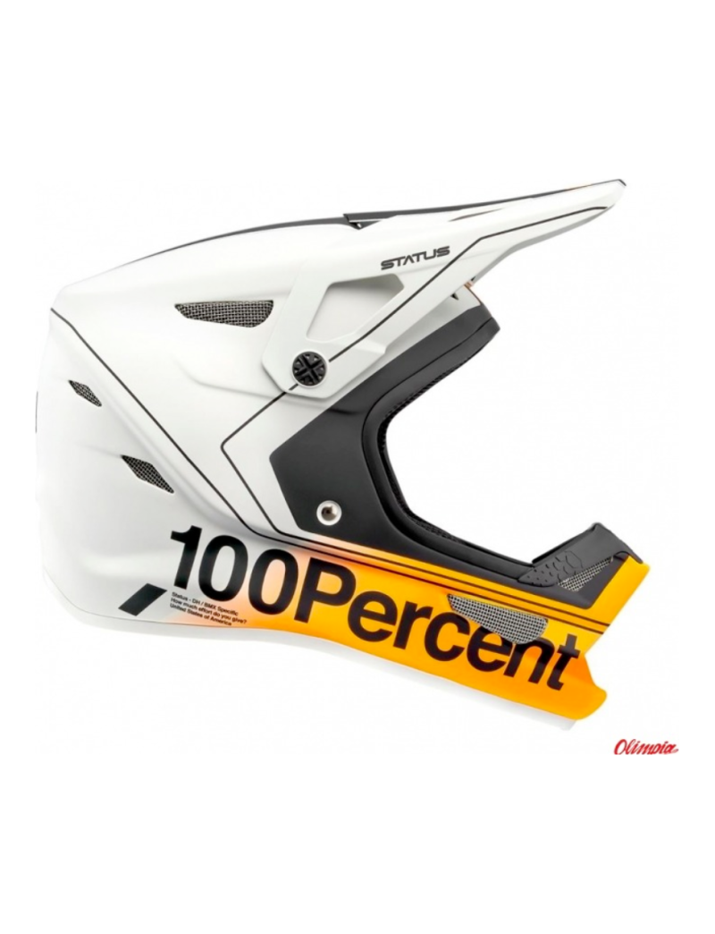 Kask full face 100% STATUS DH/BMX Helmet Carby Silver