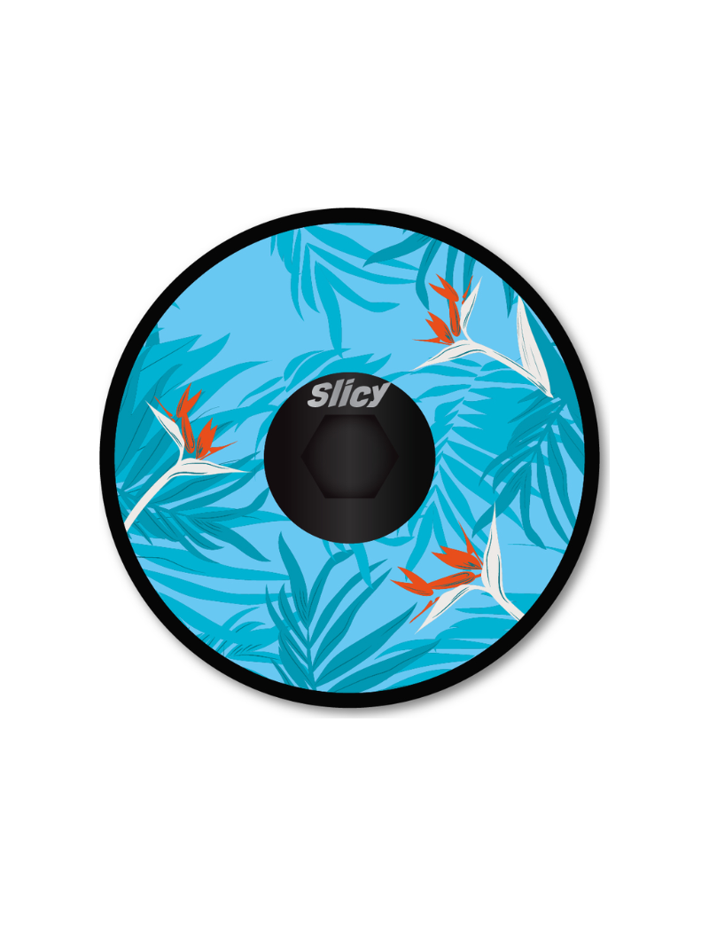 Fun Cap SLICY - Headset Cap TROPICAL