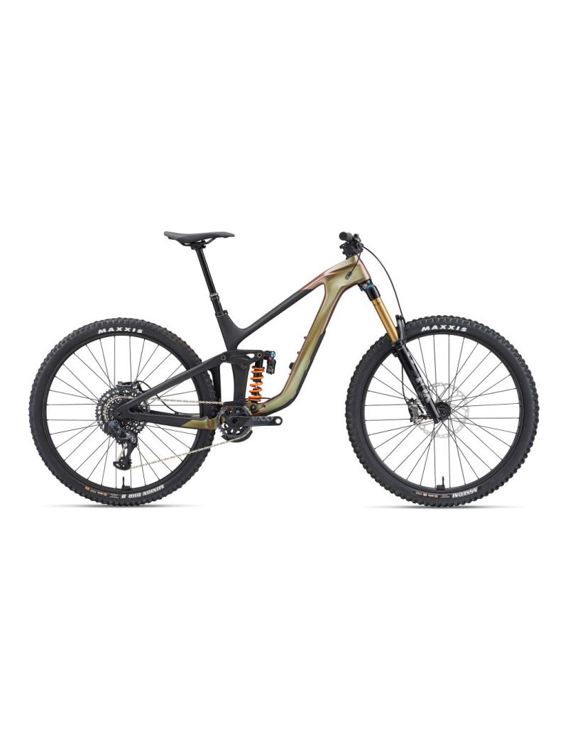 Giant Reign Advanced Pro 0