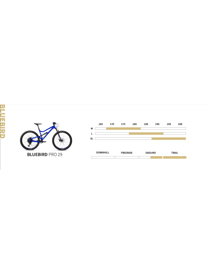 Bluebird pro 29 store