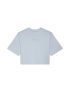 Fox T-shirt Damski  Wordmark Os Crop Pale Blue M