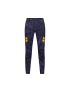 Fox Spodnie Rowerowe  Ranger Image Print Plum 28