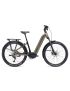 Rower GIANT Anytour X E+ 3