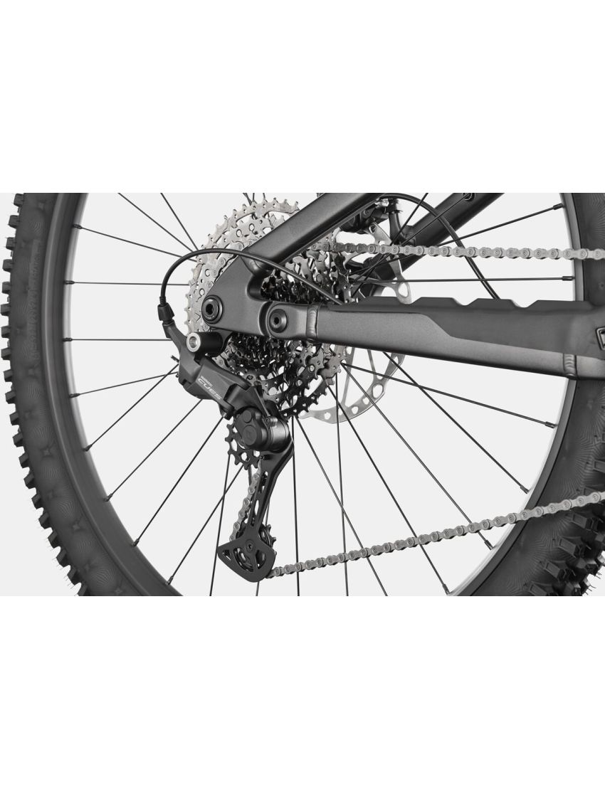 Rower CANNONDALE Mottera 3 