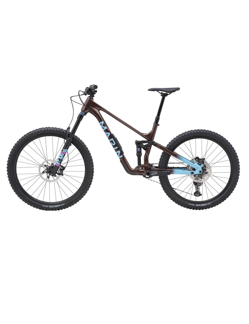Rower Marin Alpine Trail 1 Brązowy/Niebieski 29