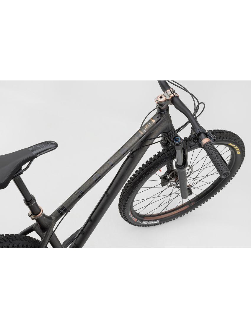 Rower NS BIKES Eccentric Alu 29