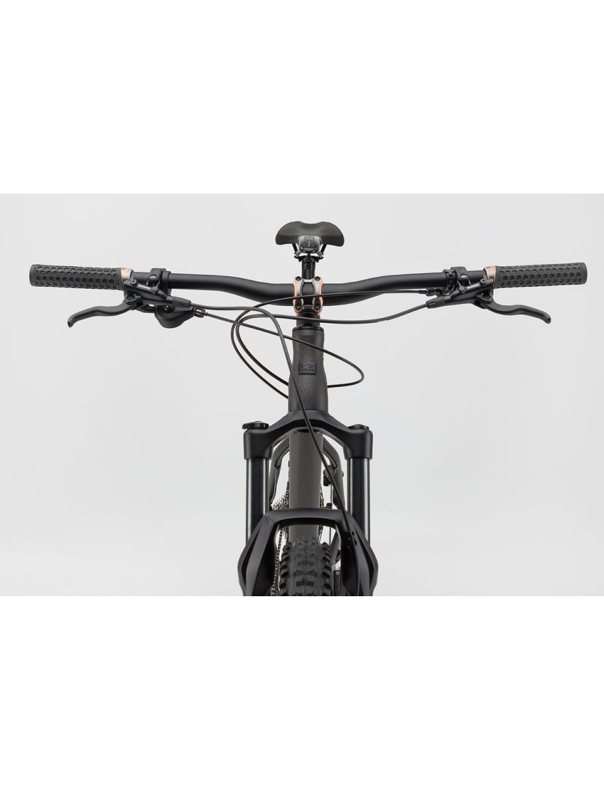 Rower NS BIKES Eccentric Alu 29