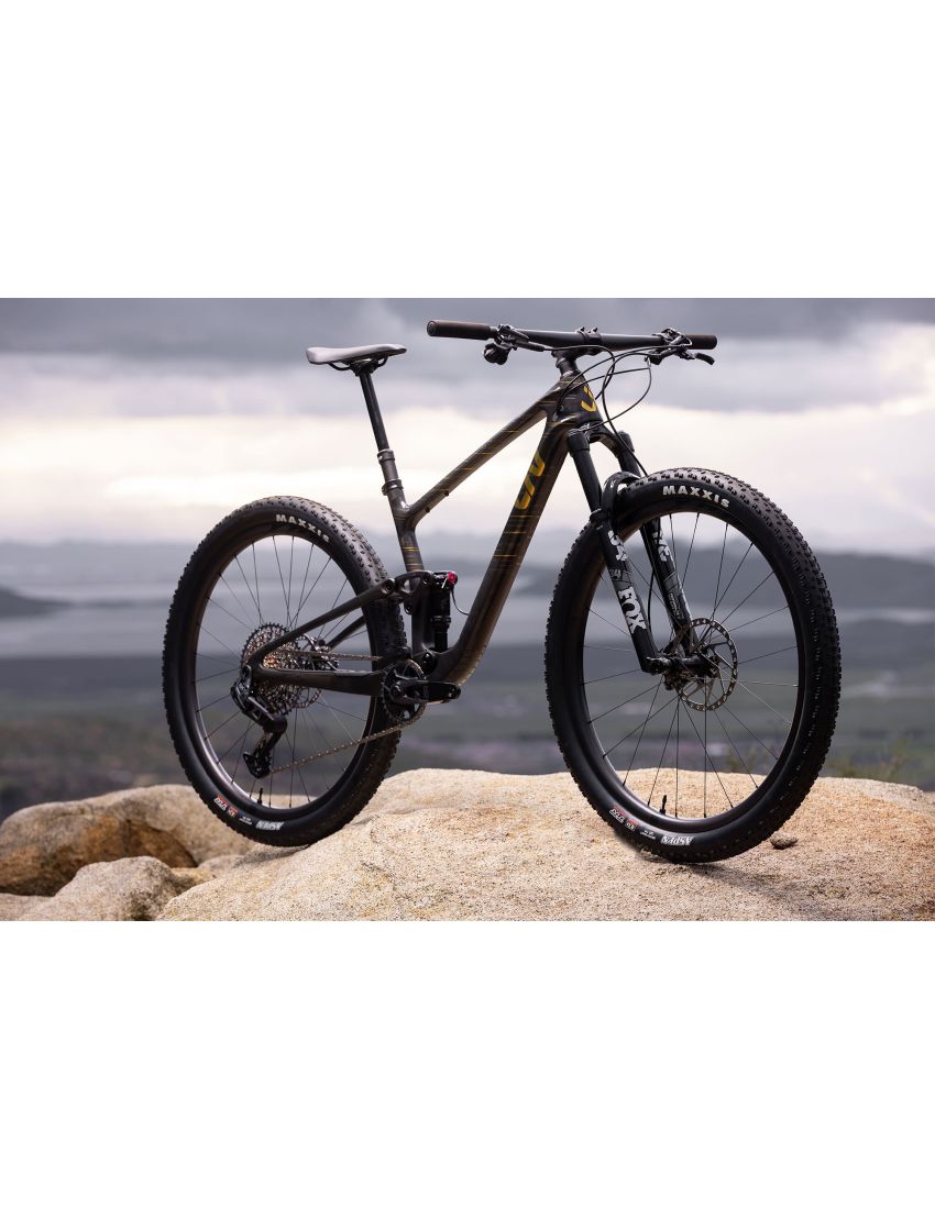 Liv Pique Advanced 29 1