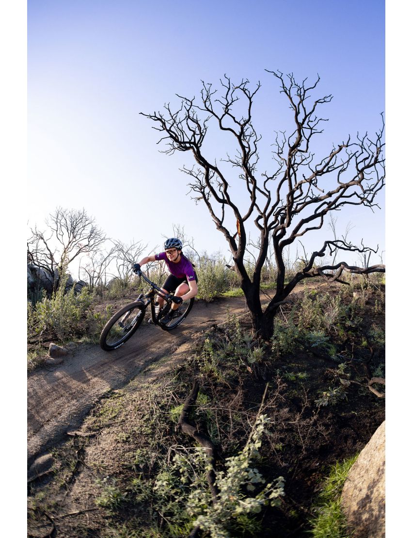 Liv Pique Advanced 29 1