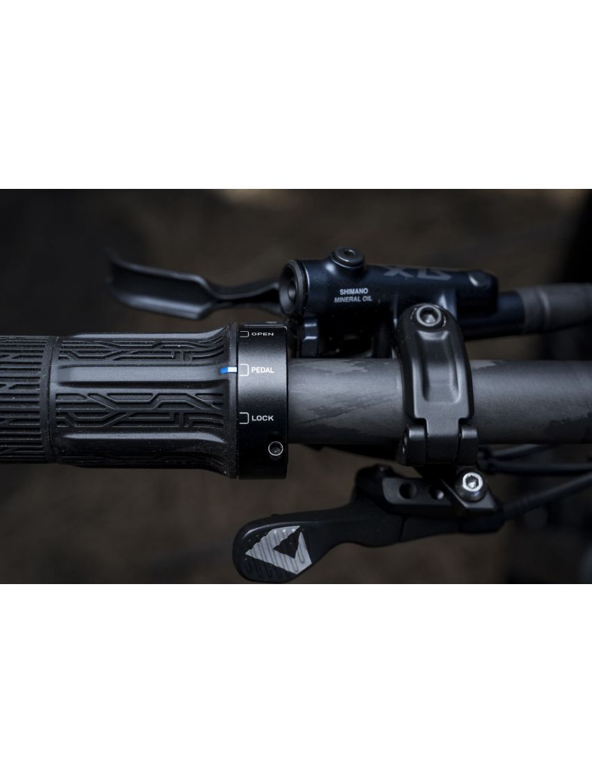 Giant Anthem Advanced SL 2