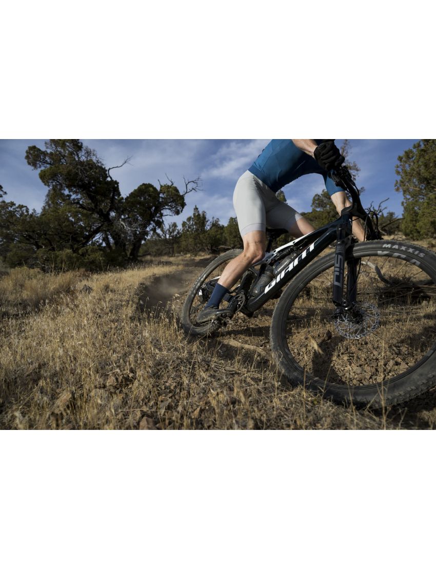 Giant Anthem Advanced SL 2