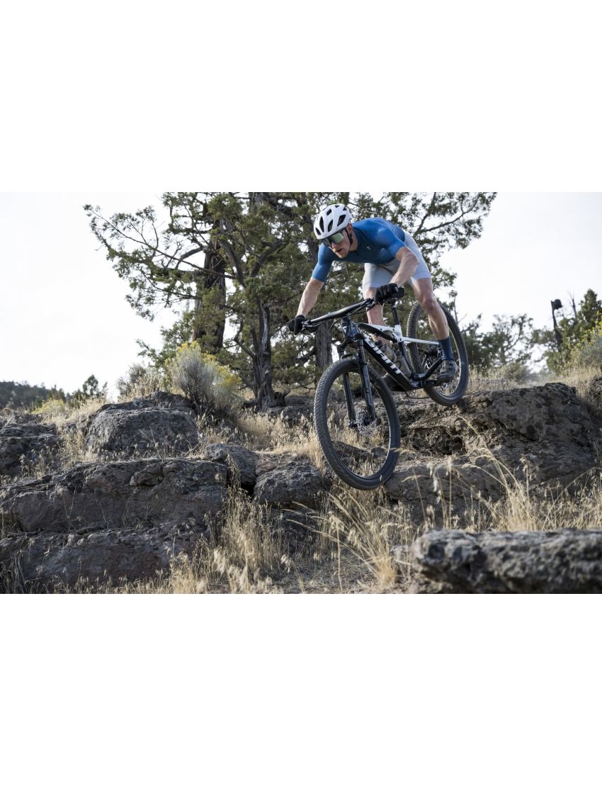 Giant Anthem Advanced SL 2