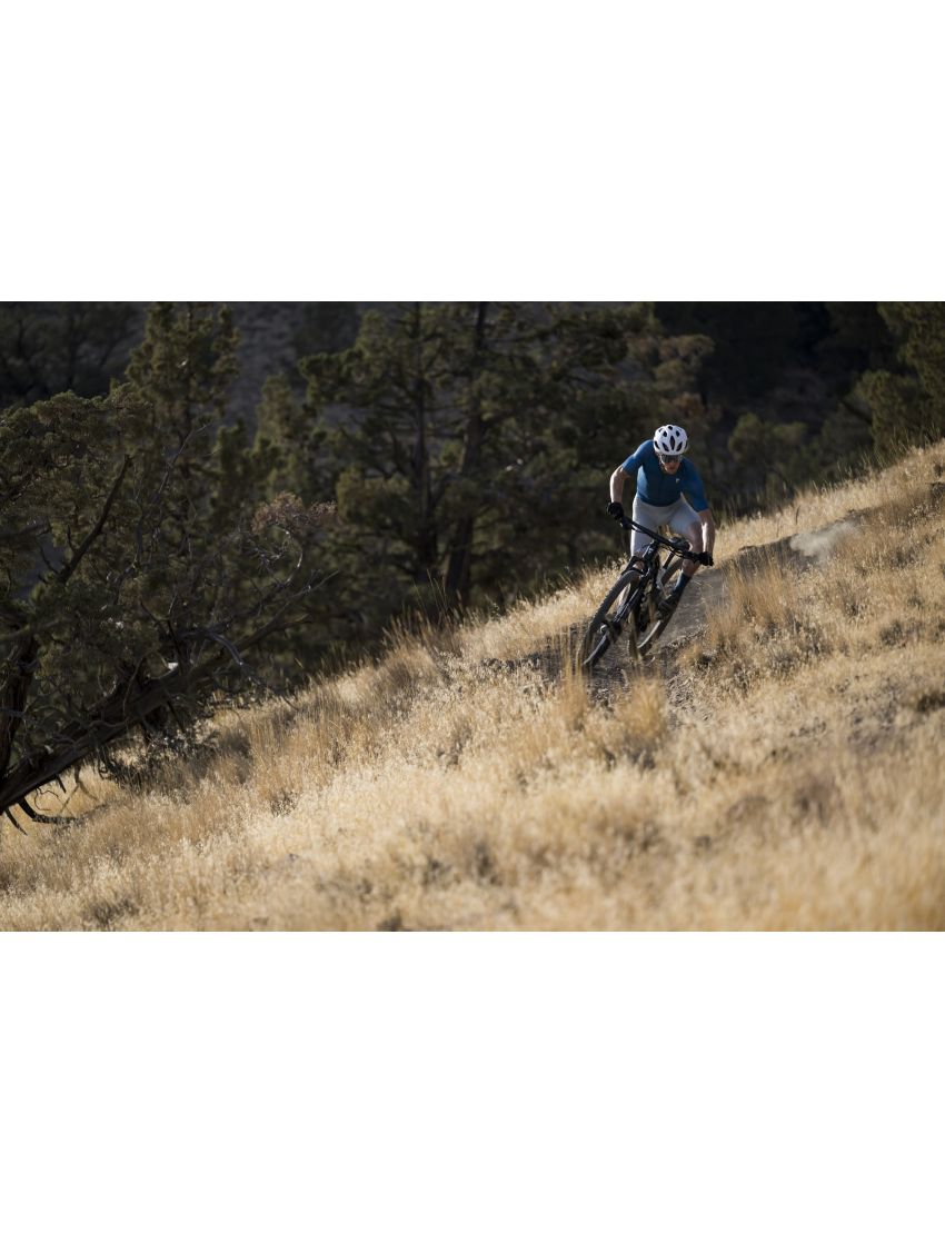 Giant Anthem Advanced SL 2