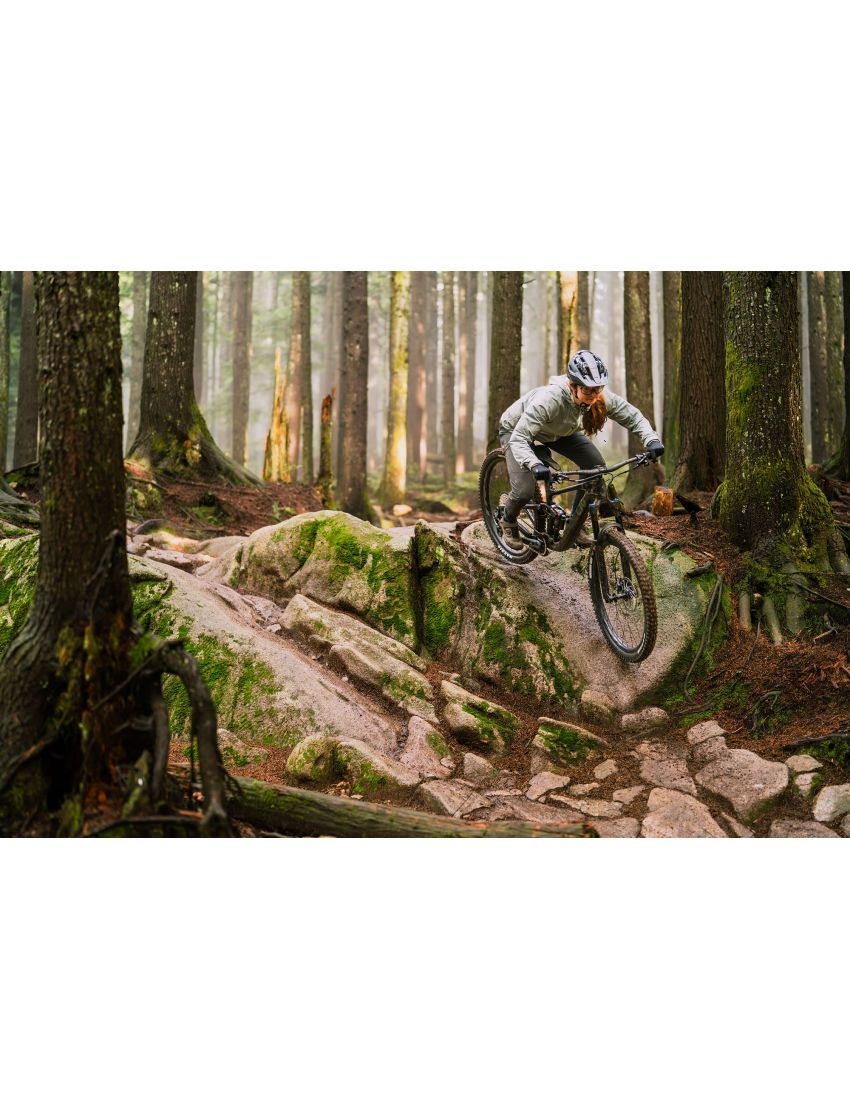 Liv Intrigue LT Advanced Pro 1