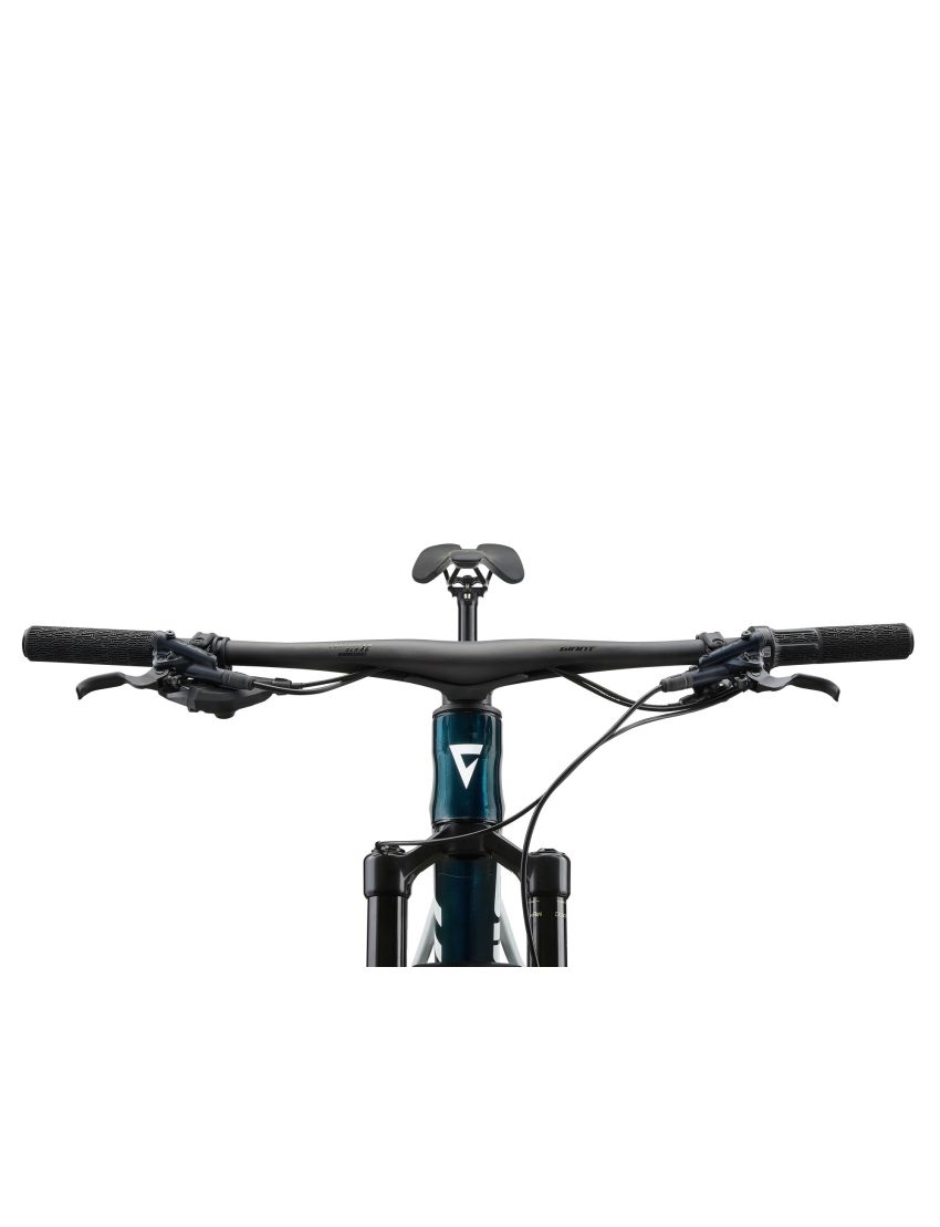 Giant Anthem Advanced SL 2