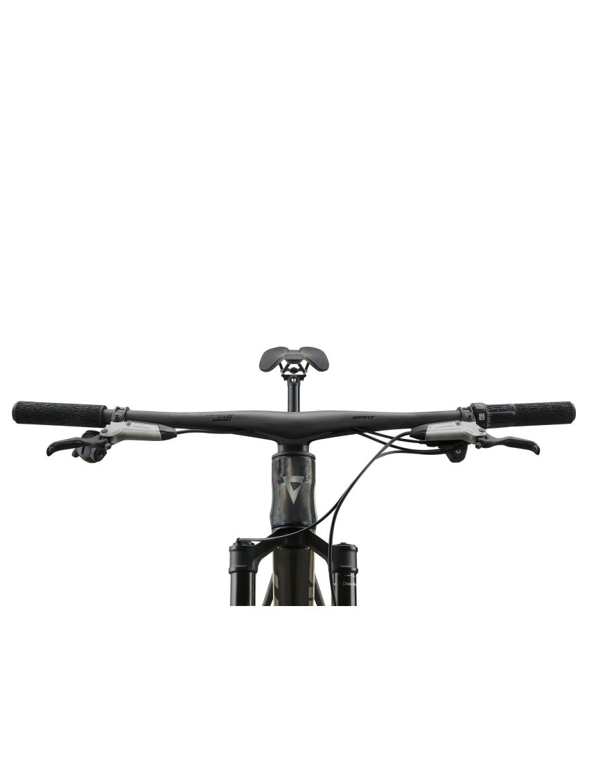 Giant Anthem Advanced SL 0
