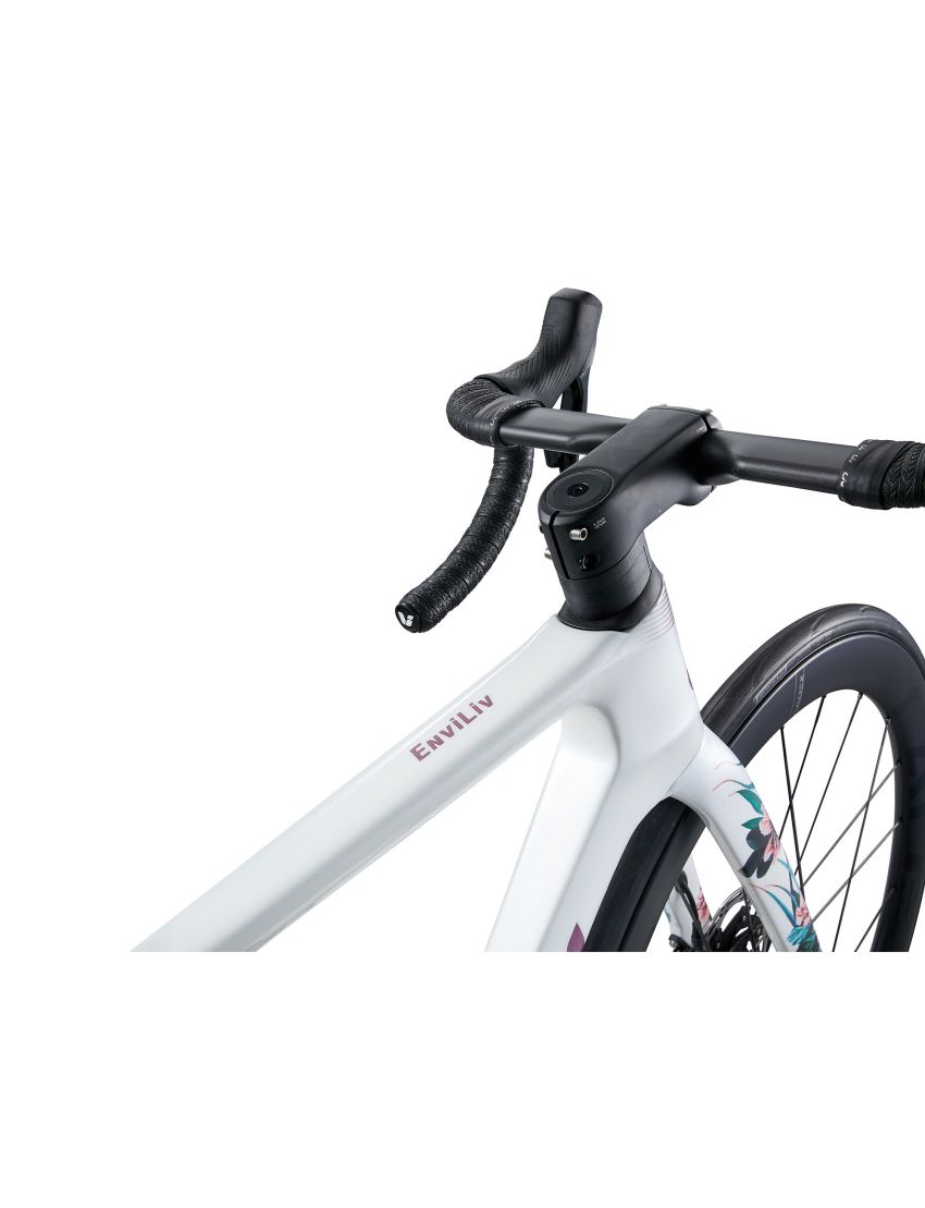 Liv EnviLiv Advanced SL LTD