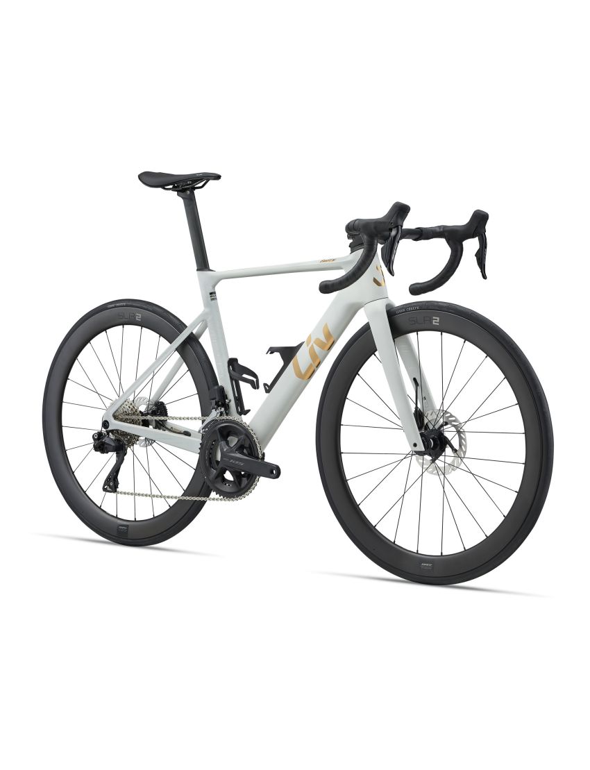 Liv EnviLiv Advanced 1