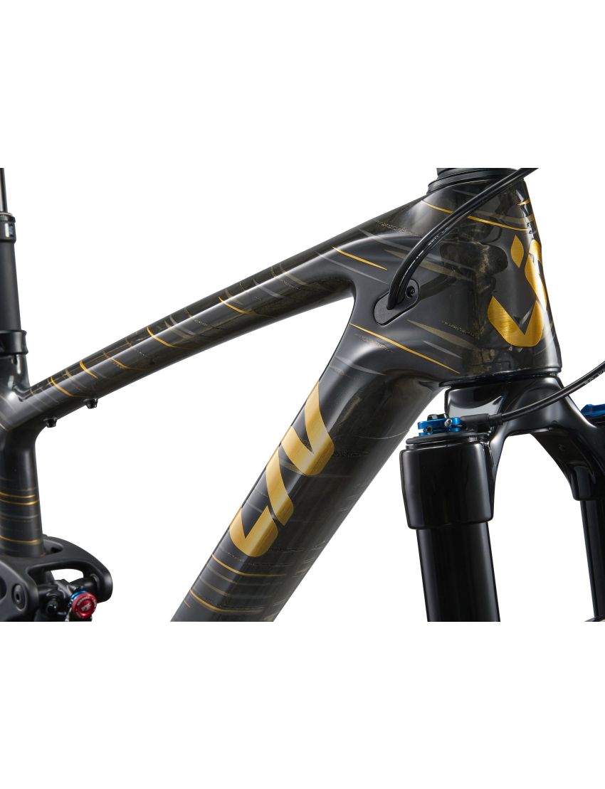 Liv Pique Advanced 29 1