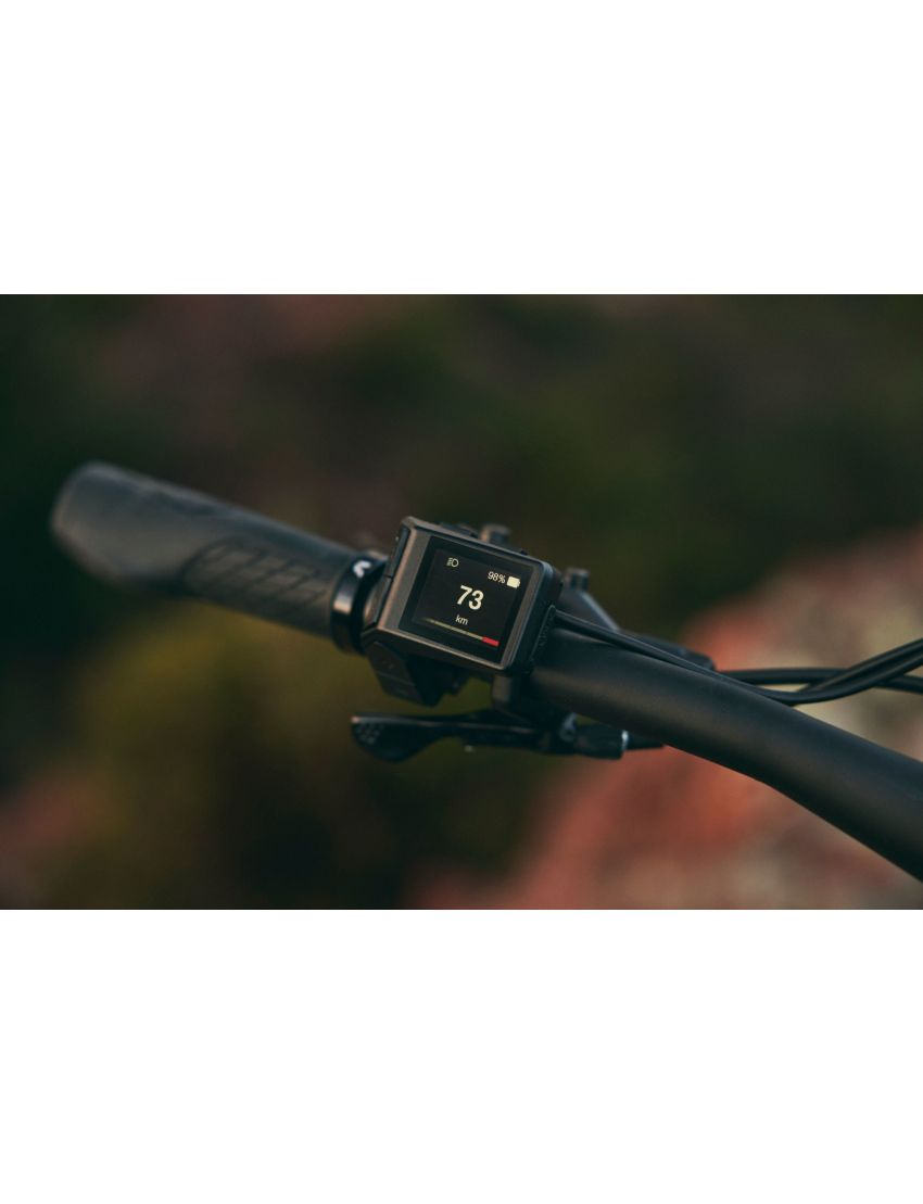 Liv Embolden E+ 2 625