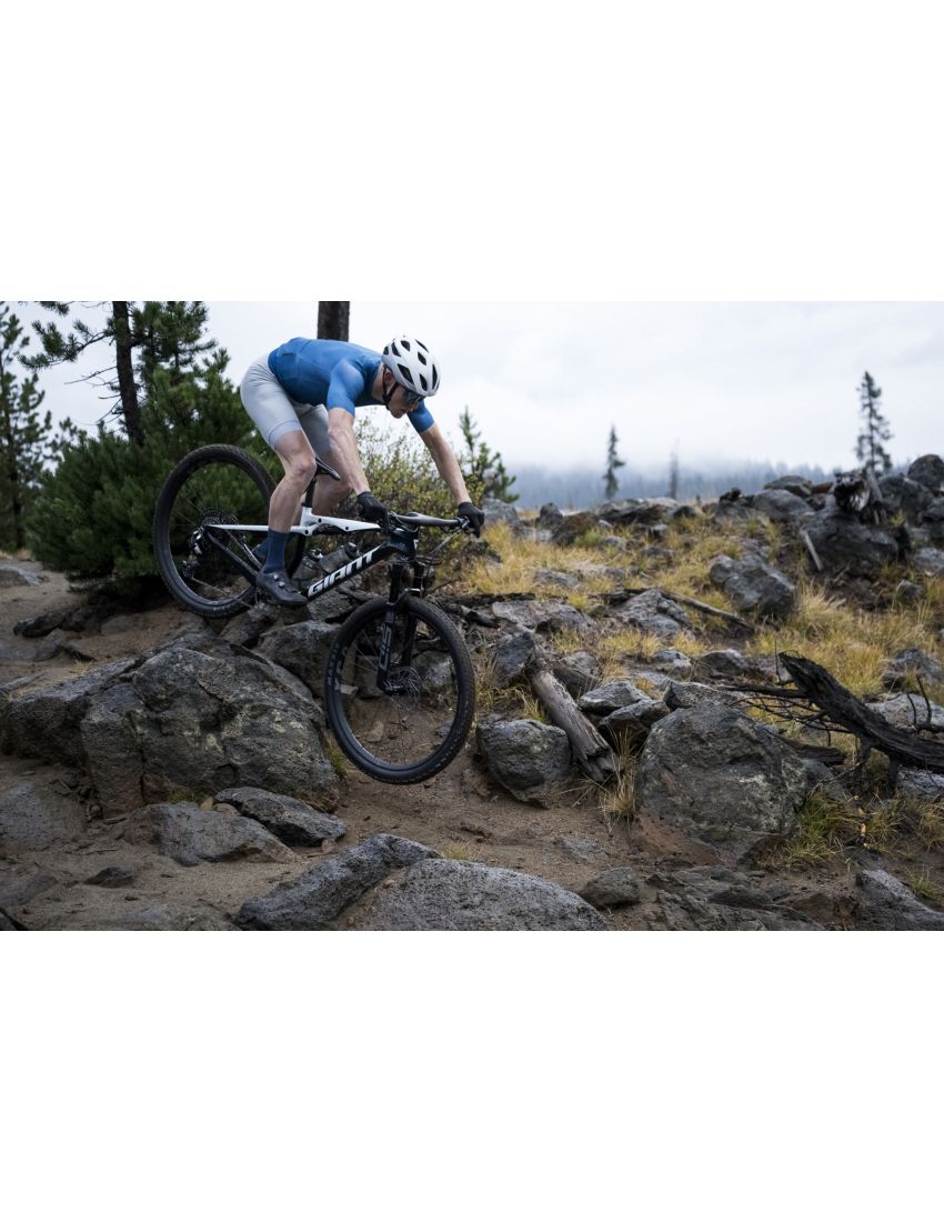 Giant Anthem Advanced SL 2