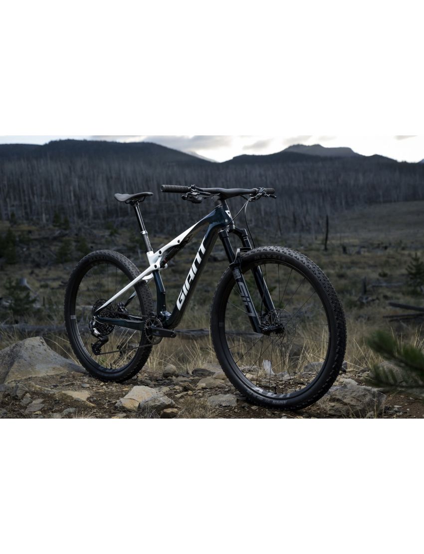 Giant Anthem Advanced SL 2