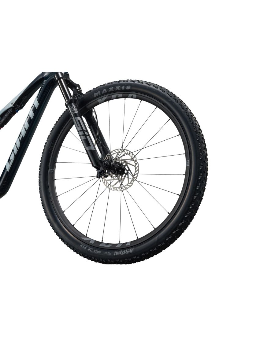 Giant Anthem Advanced SL 2