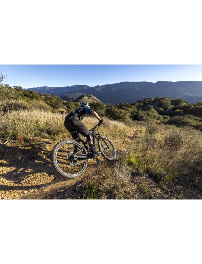 Giant Trance Advanced Pro 29 1