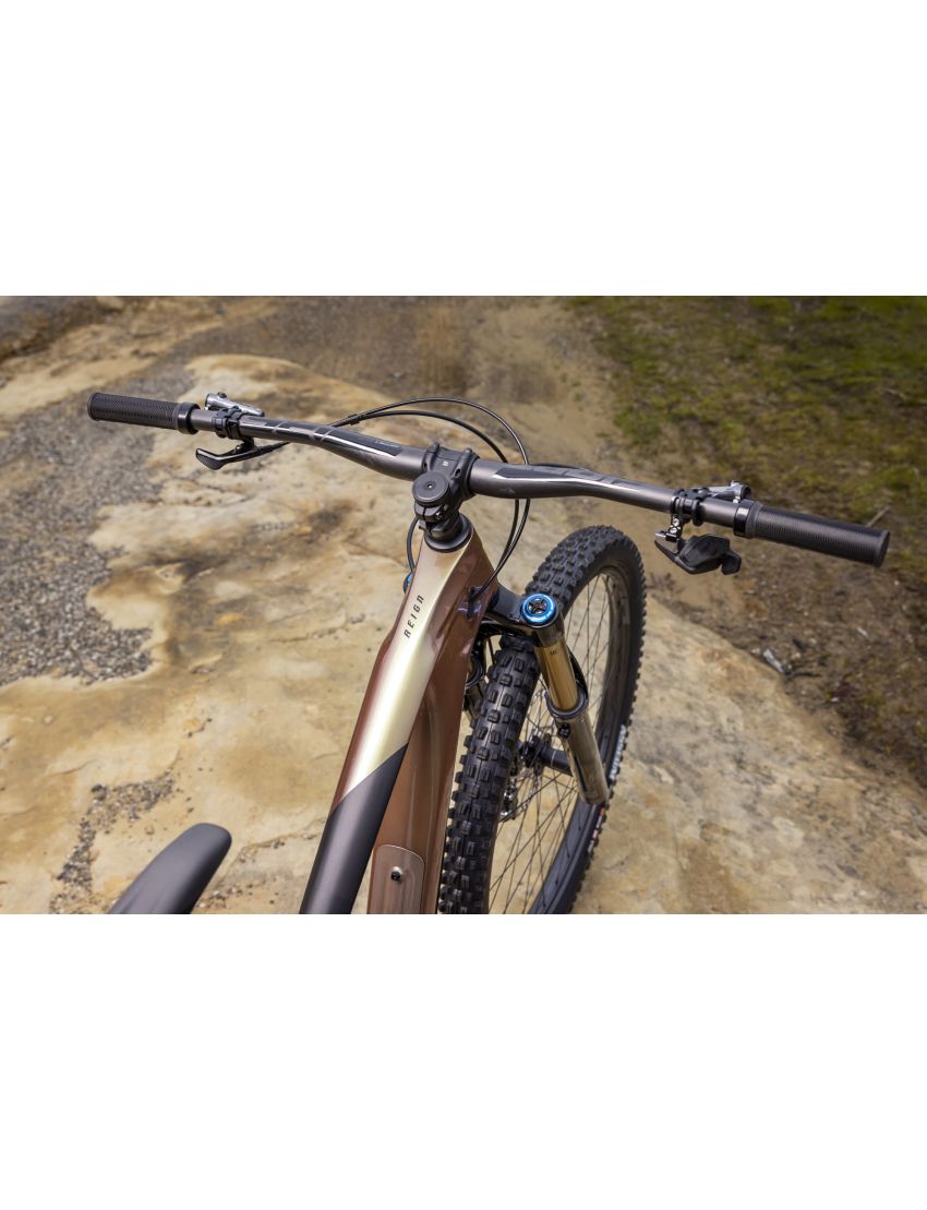 Giant Reign Advanced Pro 0