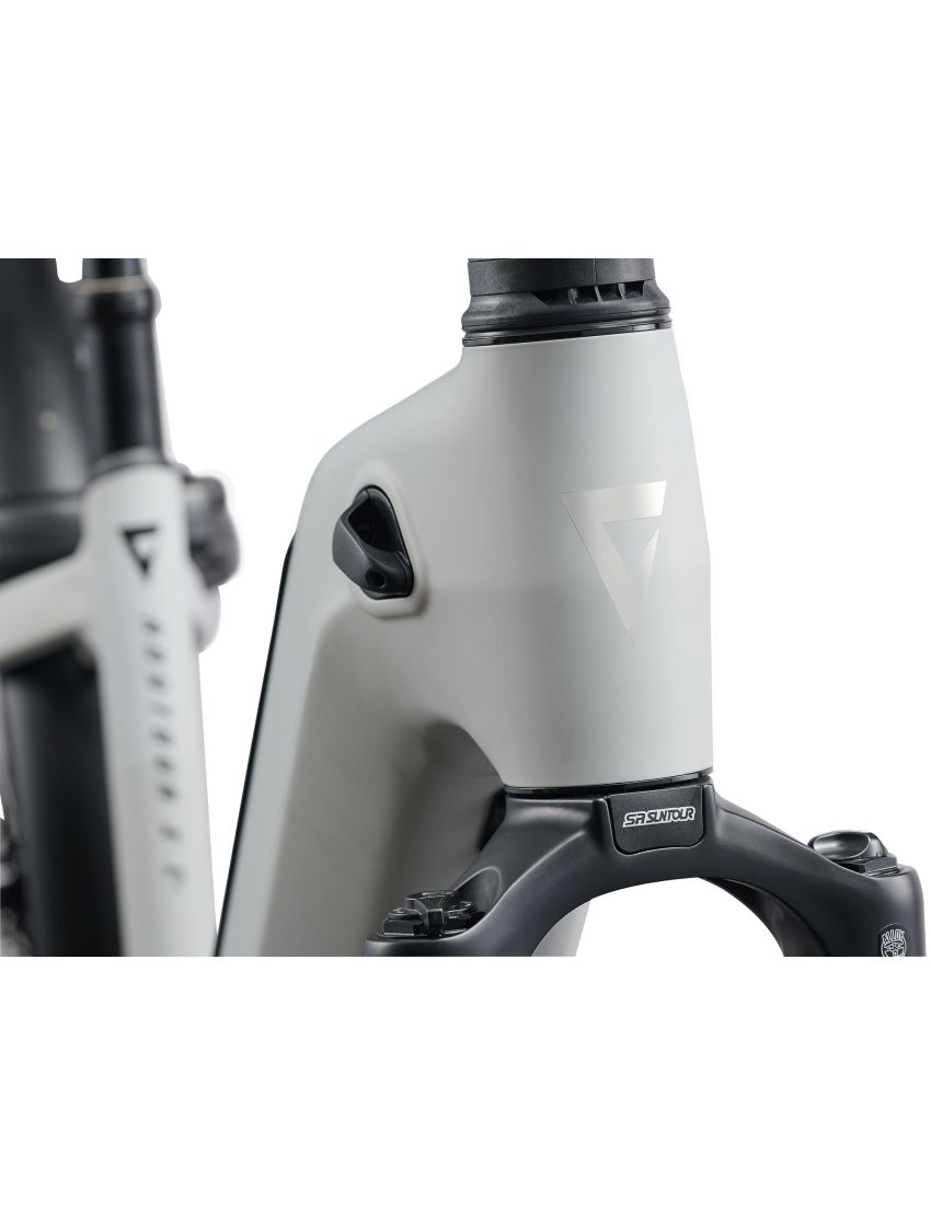 Rower GIANT AnyTour X E+ 3