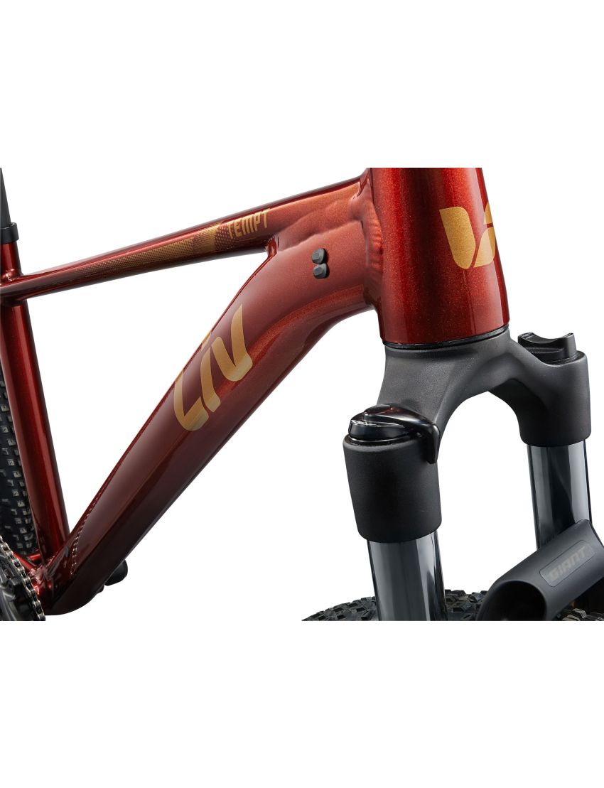 Rower LIV Tempt 2 Mars Dust