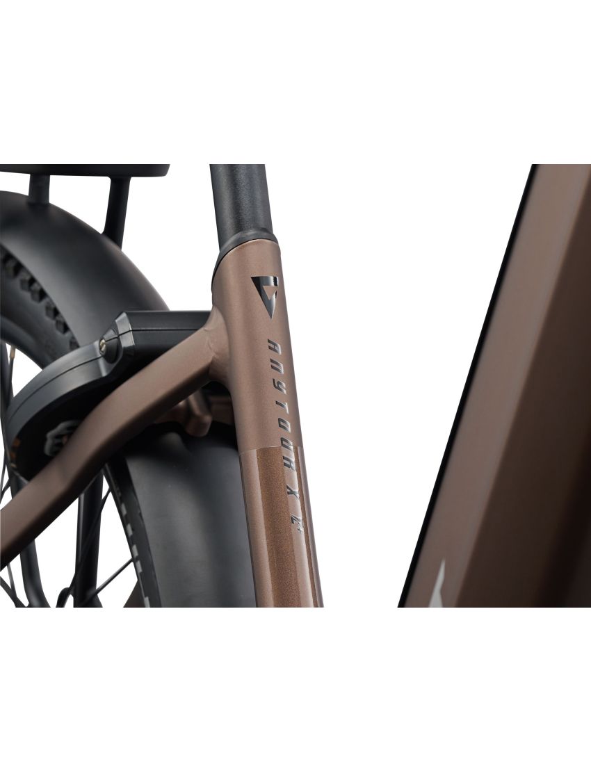 Giant AnyTour X E+ 0