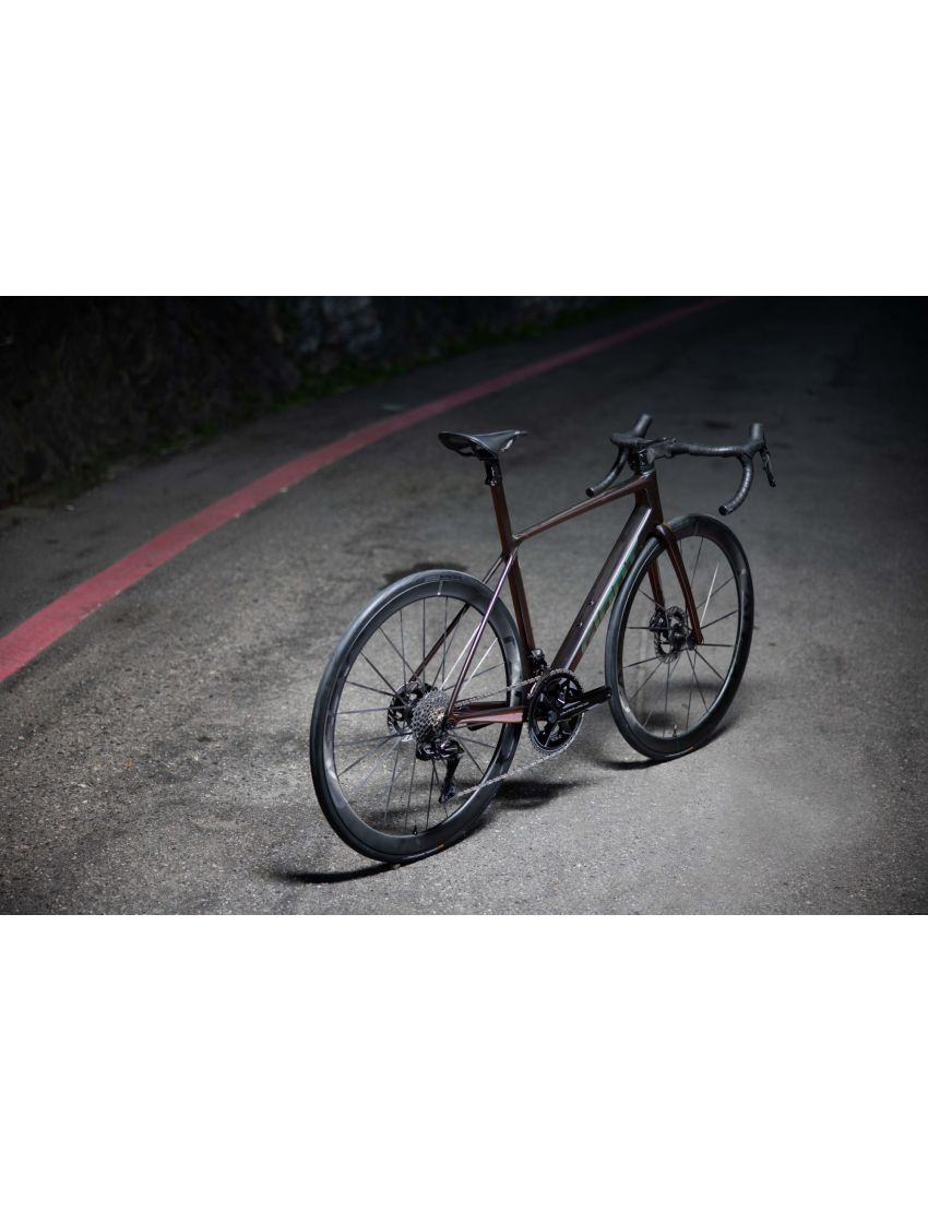 Giant TCR Advanced SL 0 DA