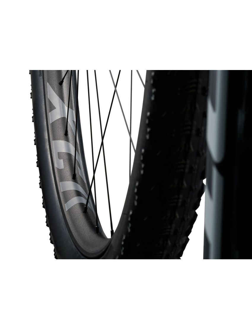 Giant Anthem Advanced SL 2