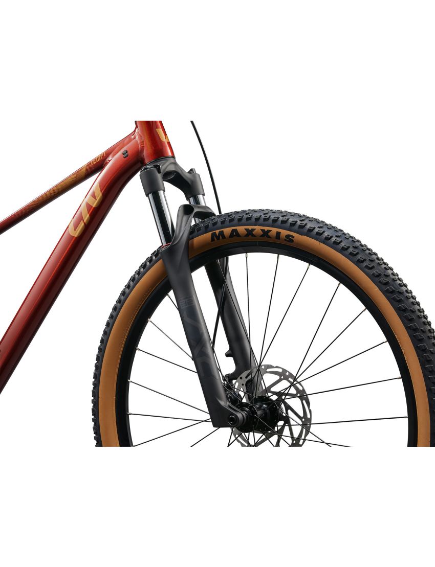 Rower LIV Tempt 2 Mars Dust