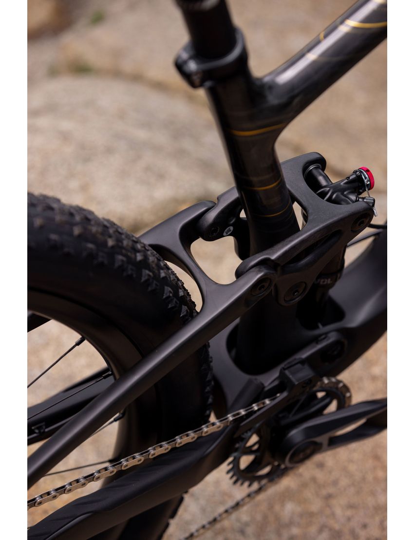 Liv Pique Advanced 29 1