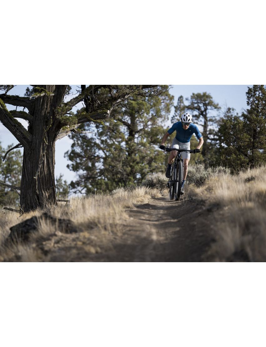 Giant Anthem Advanced SL 2