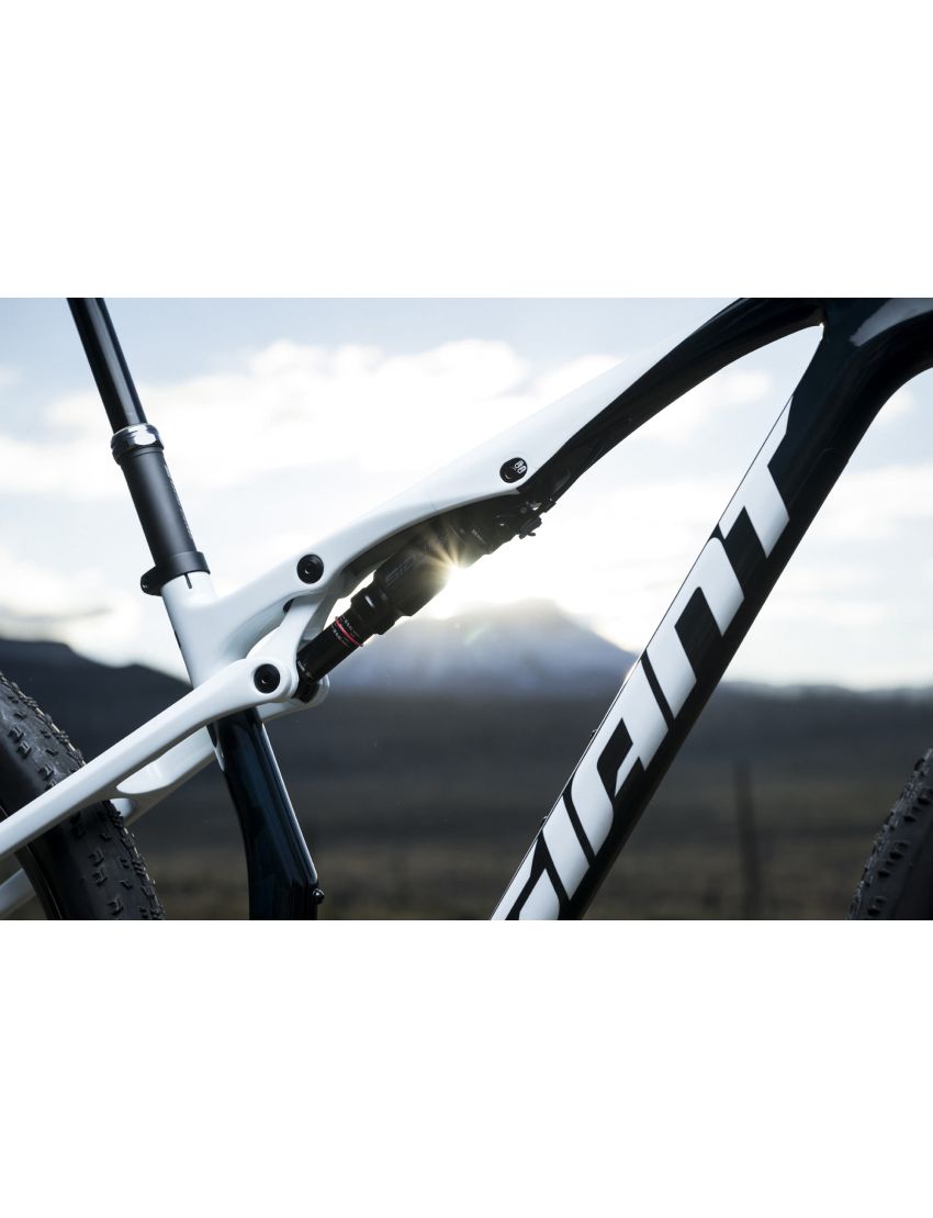 Giant Anthem Advanced SL 2