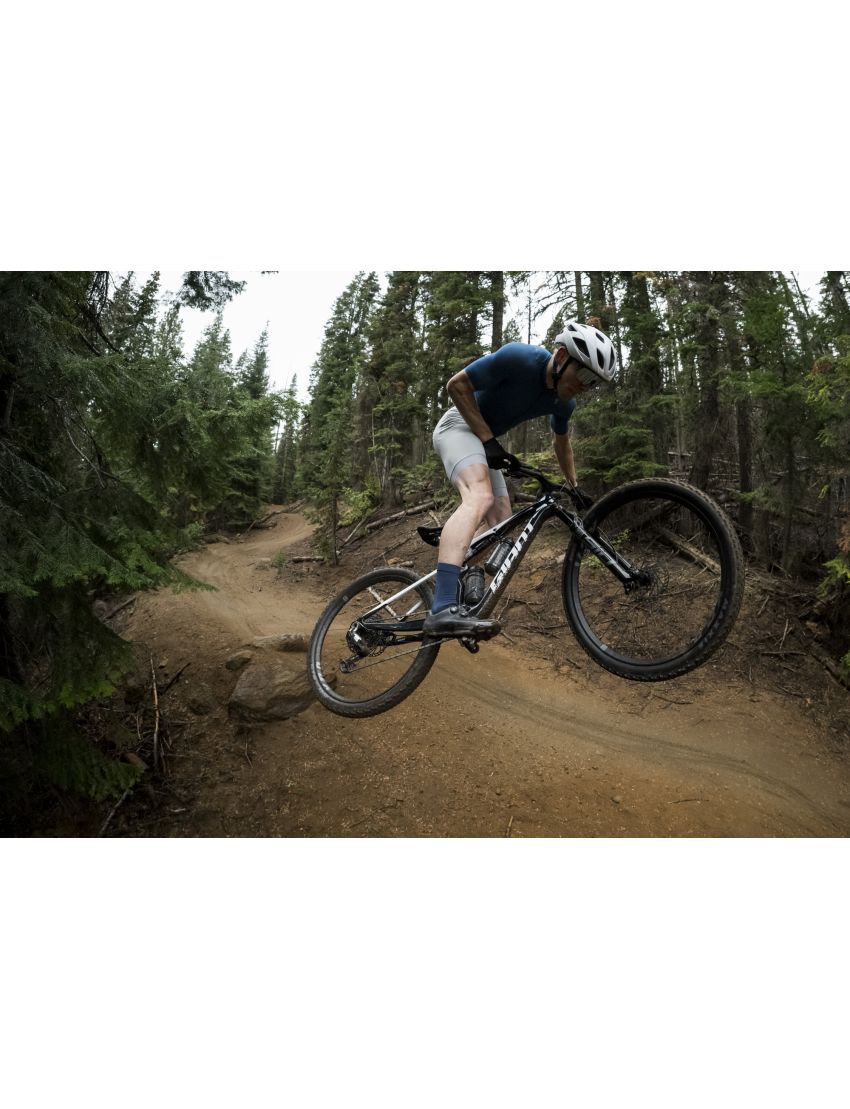 Giant Anthem Advanced SL 2