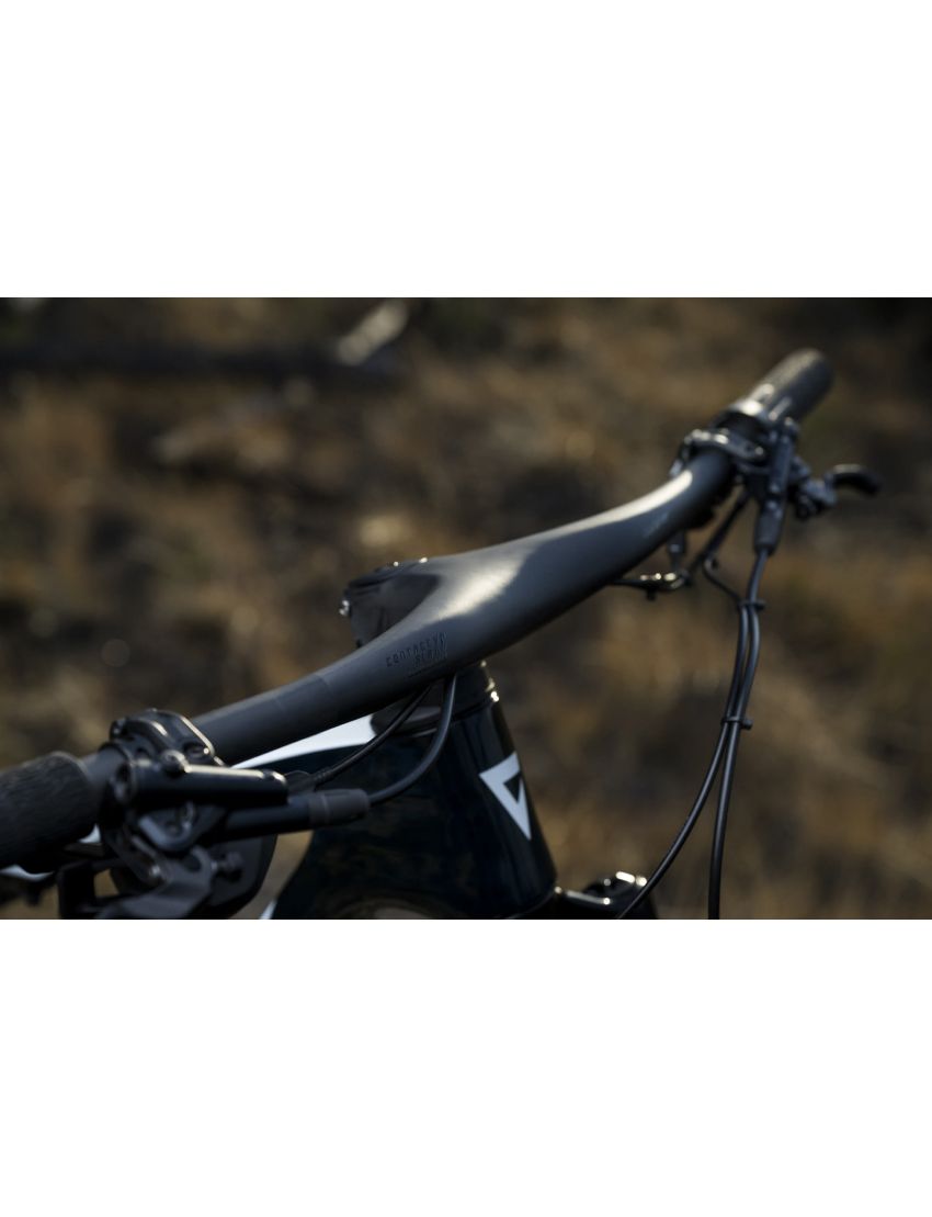 Giant Anthem Advanced SL 2