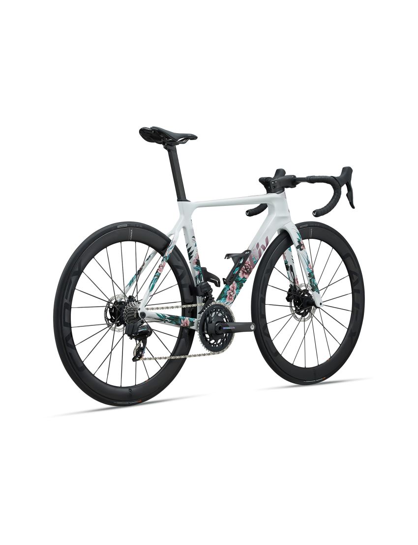 Liv EnviLiv Advanced SL LTD