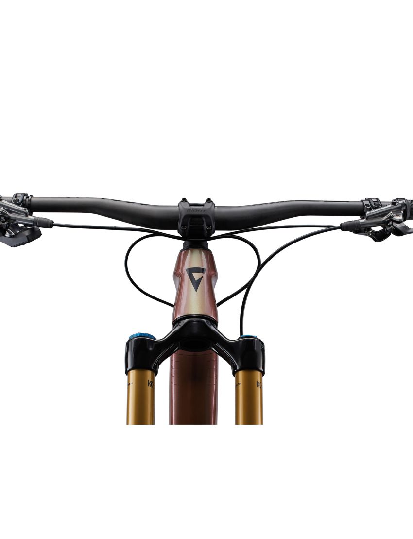 Giant Reign Advanced Pro 0