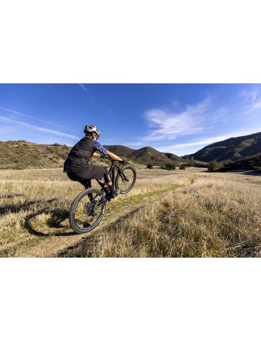 Giant Trance Advanced Pro 29 1