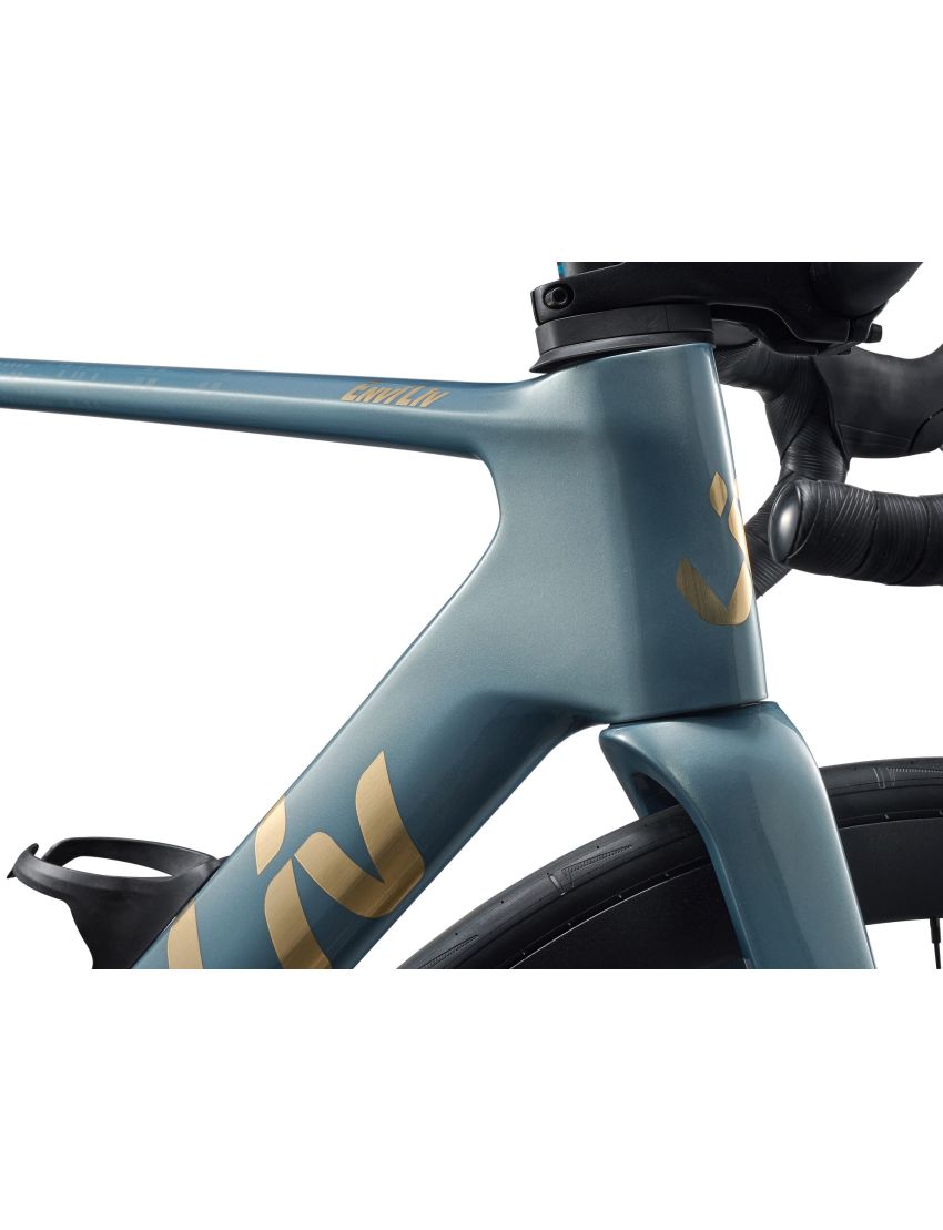 Liv EnviLiv Advanced 2