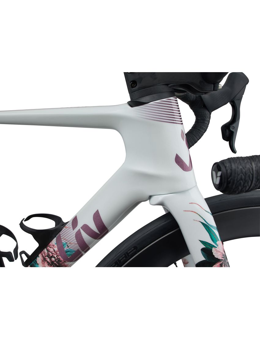 Liv EnviLiv Advanced SL LTD