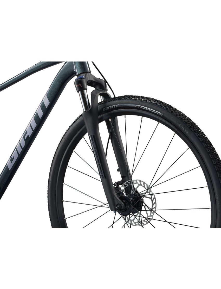 Rower GIANT Roam 2 Asphalt Green