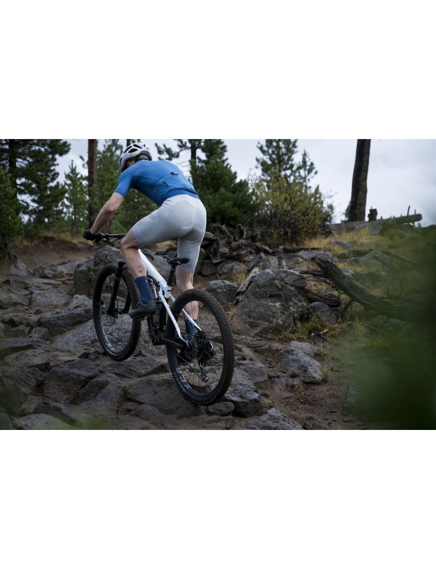 Giant Anthem Advanced SL 2